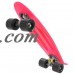 22" Complete Skateboard with Colorful Wheels for Kids, Boys, Girls, Youths, for Beginners   